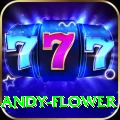 andy flower - Gaming VIP