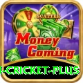 australian cricket Turbo Casino App