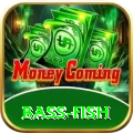 bass fish Casino Official v1.5.3
