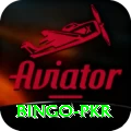 Bingo PKR Pro v4.6.4