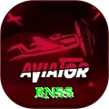 bn55 Premium v2.3.8