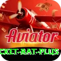 cricket bat VIP Latest v3.2.4