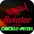cricket pitch Slot Machine Supreme