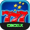 crickex - Max v3.0.5