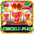 fastest ball in cricket - Real Money King