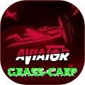 grass carp Games Elite