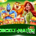 india cricket match Gaming Extreme