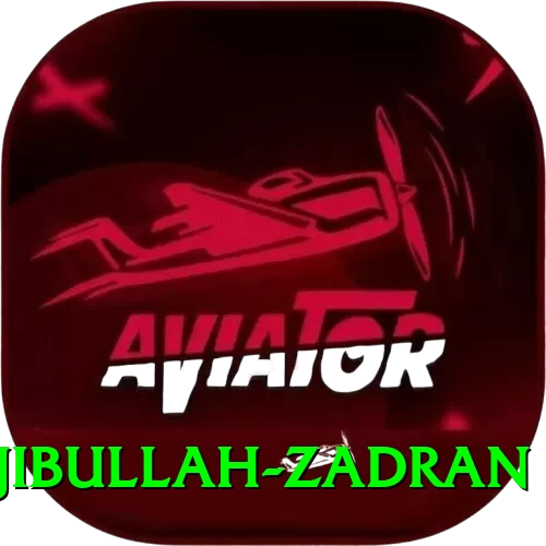 najibullah zadran Deluxe - Win Real PKR - 2
