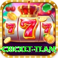 new zealand cricket team Money Royal v5.4.8