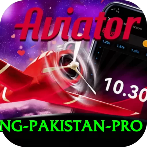 Online Betting Pakistan VIP Casino App - 2
