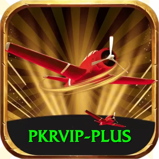 pkrvip - Plus Earning App - 2