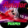 pkspin Mega - Win Real PKR