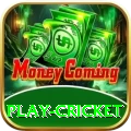 play cricket Royal Latest v1.2.3