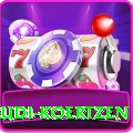 rudi koertzen App Mega v1.9.6