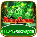 steve waugh Pro v1.6.8